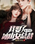 分手后,我娶了冰山女总裁