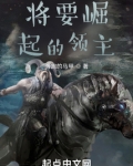 将要崛起的领主