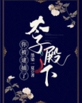 太子殿下你被逮捕了