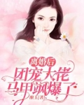 离婚后,团宠大佬马甲飒爆了