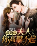 离婚后,夫人你高攀不起