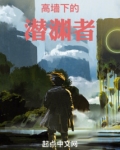 高墙下的潜渊者