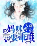 天降萌宝:妈咪,要乖哦