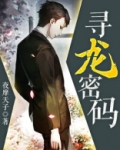 寻龙密码