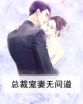 总裁宠妻无间道