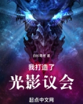 我打造了光影议会