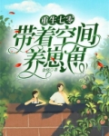 重生七零:带着空间养崽崽
