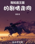 我知道王国的剧情走向