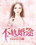 不轨婚途