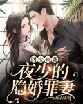 四宝来袭:夜少的隐婚罪妻