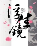 浮生镜