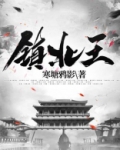 镇北王