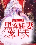 偏执总裁,黑客娇妻宠上天