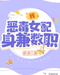 我,恶毒女配,身兼数职