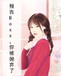 报告Boss,你被抛弃了