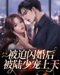 被迫闪婚后被陆少宠上天