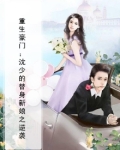 重生豪门:沈少的替身新娘之逆袭