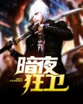 暗夜狂卫