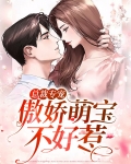 总裁专宠:傲娇萌宝不好惹
