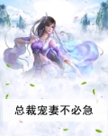 总裁宠妻不必急