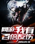网游:我有百倍反伤