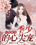 闪婚新爱:季少的心尖宠