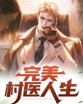 完美村医人生