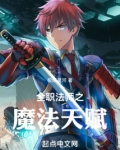全职法师之魔法天赋