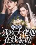 新婚夜,残疾大佬他在线装瞎