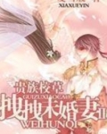 贵族校草拽拽未婚妻Ⅱ