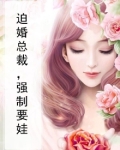 迫婚总裁,强制要娃