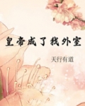 皇帝成了我外室