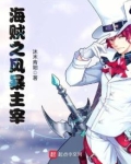 海贼之风暴主宰