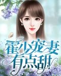 霍少宠妻有点甜