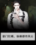 豪门狂婿,纵横都市风云
