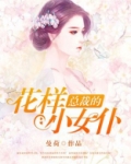 总裁的花样小女仆