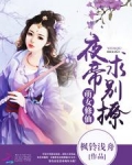 萌女修仙:夜帝,求别撩