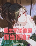 重生不谈恋爱,你当顶流?