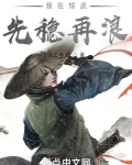 我在综武先稳再浪
