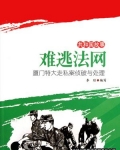 难逃法网:厦门特大走私案侦破与处理