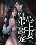 陆少超宠心上妻