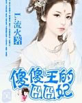 傻傻王的囧囧妃
