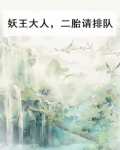 妖王大人,二胎请排队