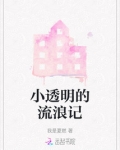 小透明的流浪记