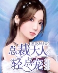 惹爱365天:总裁大人轻点宠