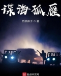 谍海孤雁