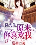 陆先生,原来你喜欢我