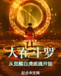 人在斗罗,从觉醒白虎武魂开始