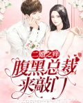 二婚之痒,腹黑总裁来敲门