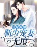 错嫁缠婚,靳少宠妻无度